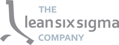 theleansixsigma.company